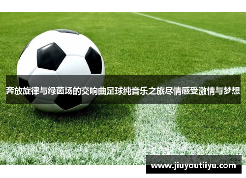 奔放旋律与绿茵场的交响曲足球纯音乐之旅尽情感受激情与梦想