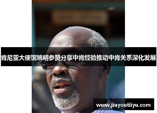 肯尼亚大使馆姚明参赞分享中肯经验推动中肯关系深化发展
