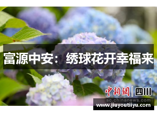 富源中安：绣球花开幸福来